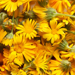 Similar image 8395003