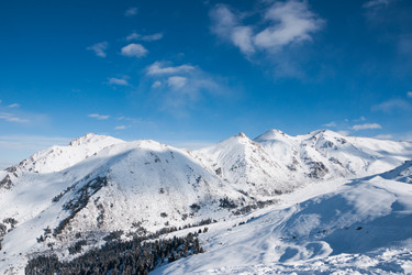 Similar image 8395005