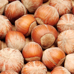 Similar image 8395007