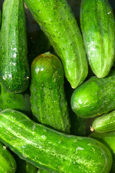 Similar image 8395013