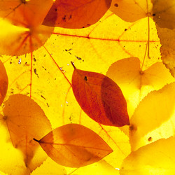 Similar image 8395016