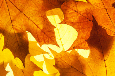 Similar image 8395186