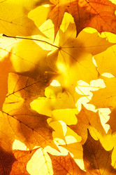 Similar image 8395187