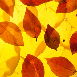 Similar image 8395190