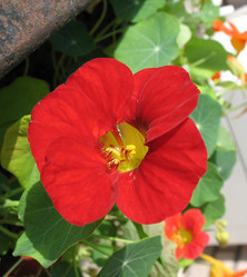 Similar image 8395245