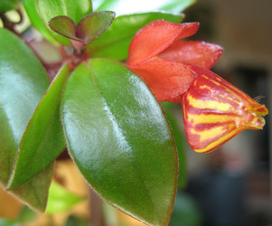 Similar image 8395251