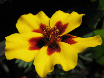 Similar image 8395253