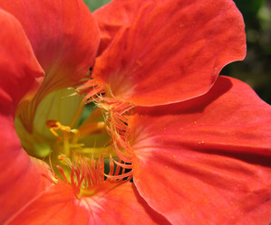 Similar image 8395254