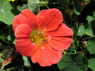 Similar image 8395255