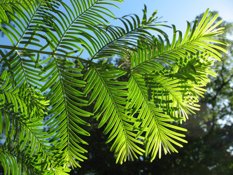 Similar image 8395311