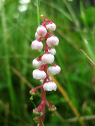 Similar image 8395313