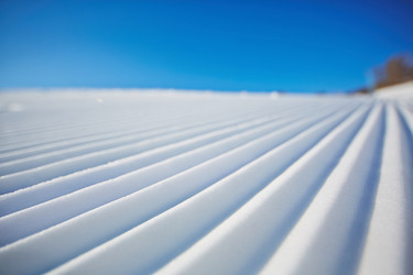 Similar image 8395487