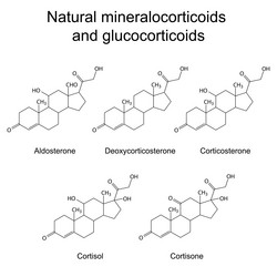 Similar image 8395586