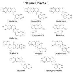 Similar image 8395612