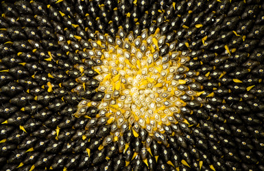 Similar image 8395643