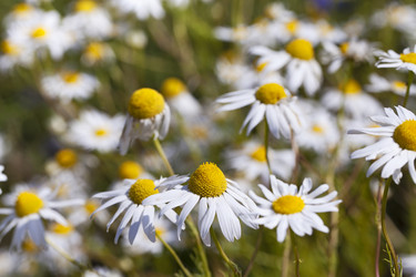 Similar image 8395650