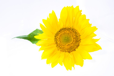 Similar image 8395654