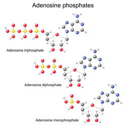 Similar image 8395736