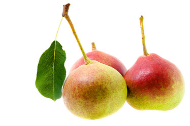 Similar image 8395744