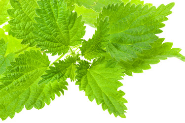 Similar image 8395745