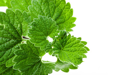 Similar image 8395747