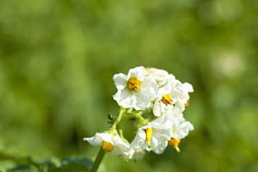 Similar image 8395755