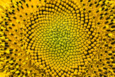 Similar image 8395793