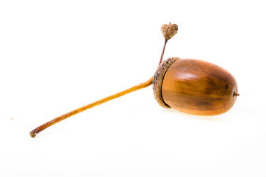 Similar image 8395817