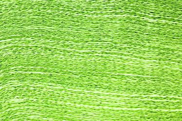 Similar image 8395825