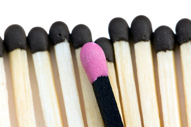 Similar image 8395843