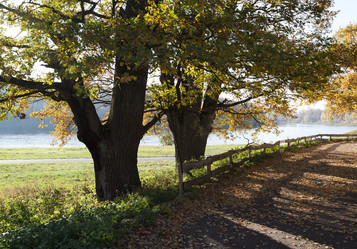 Similar image 8395845