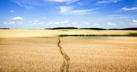 Similar image 8395847