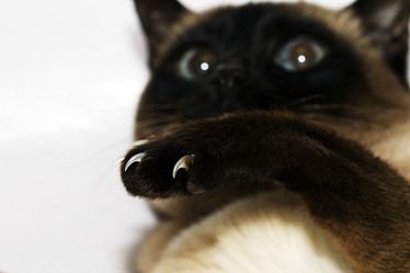 Similar image 8395852