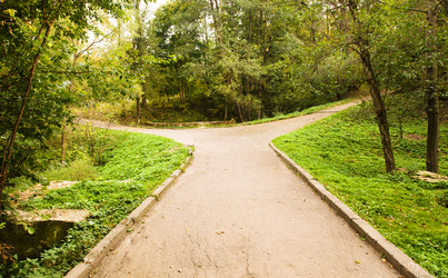 Similar image 8395856