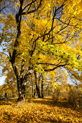 Similar image 8395858