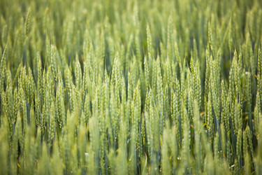 Similar image 8395859