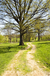 Similar image 8395881