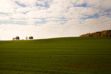 Similar image 8395893