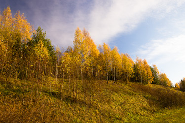 Similar image 8395900