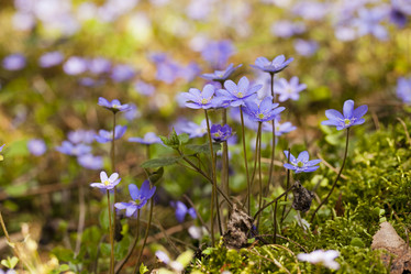 Similar image 8395910