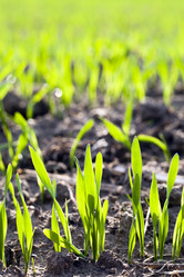 Similar image 8395947