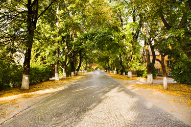 Similar image 8395959