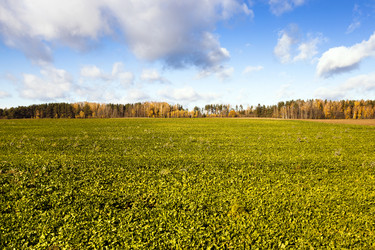 Similar image 8395968