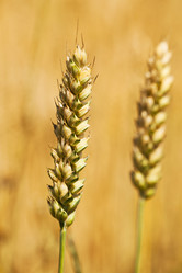 Similar image 8395986