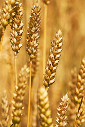 Similar image 8395989