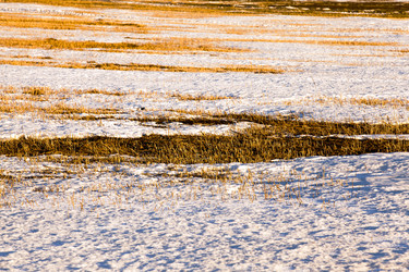 Similar image 8396113