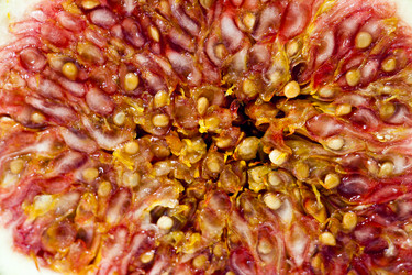 Similar image 8396124