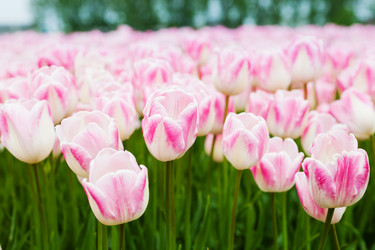 Similar image 8396204