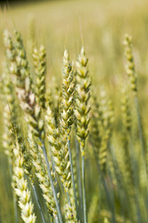 Similar image 8396216