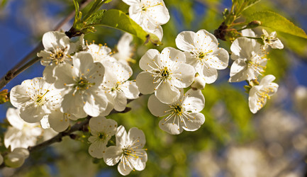 Similar image 8396218